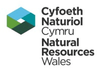 Logo of Natural Resources Wales, featuring a geometric green and blue icon alongside bilingual text in Welsh and English: Cyfoeth Naturiol Cymru Natural Resources Wales.